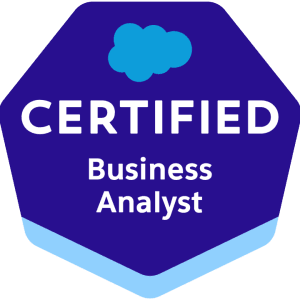 Certified Business Analyst