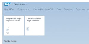 Launchpad Fiori