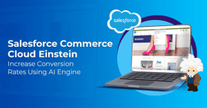 Salesforce Commerce Cloud Einstein