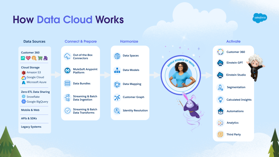 Salesforce-Data-Cloud