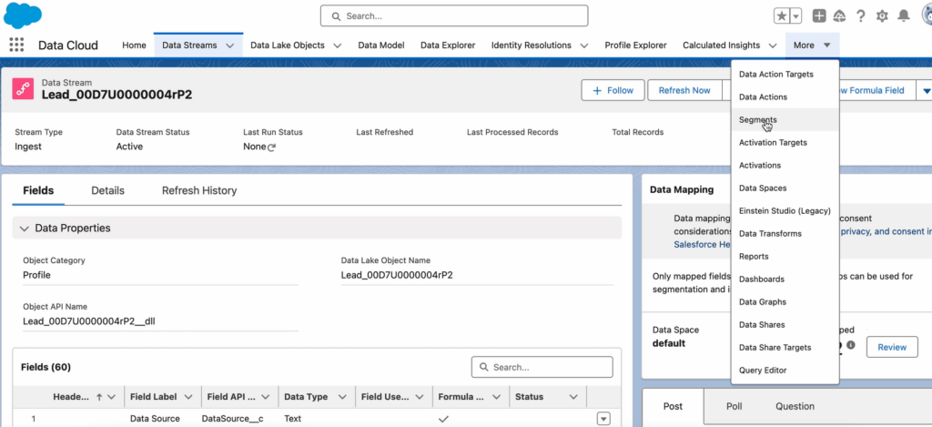 segments-data-cloud