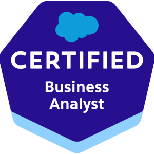 Certified Business Analyst