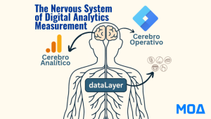 nervous system