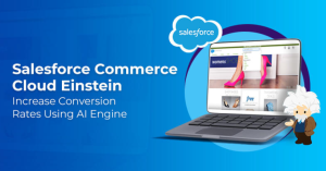 Salesforce Commerce Cloud Einstein